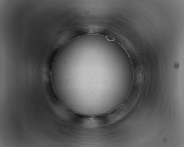 X0000103440316200809121409