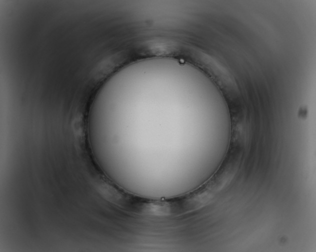 X0000103440317200809121409