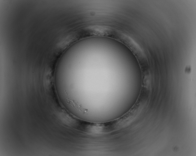 X0000103440318200809121409