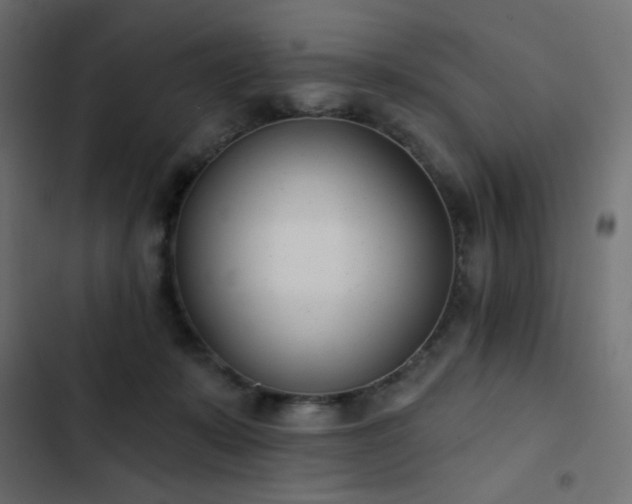 X0000103440319200809121409