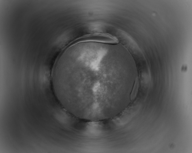 X0000103440320200809121409