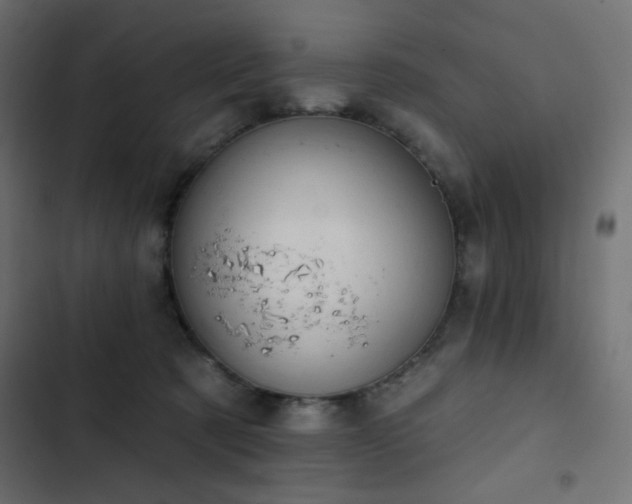 X0000103440321200809121409