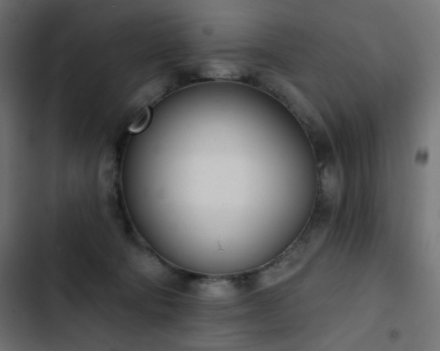 X0000103440322200809121409