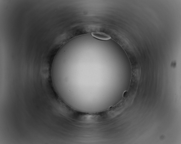 X0000103440323200809121409