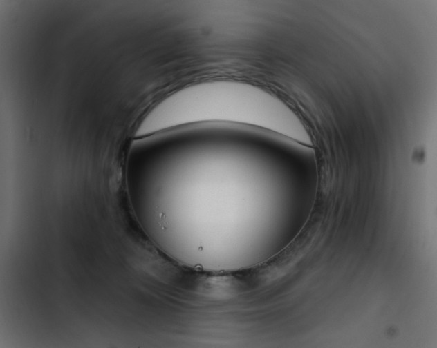 X0000103440324200809121409