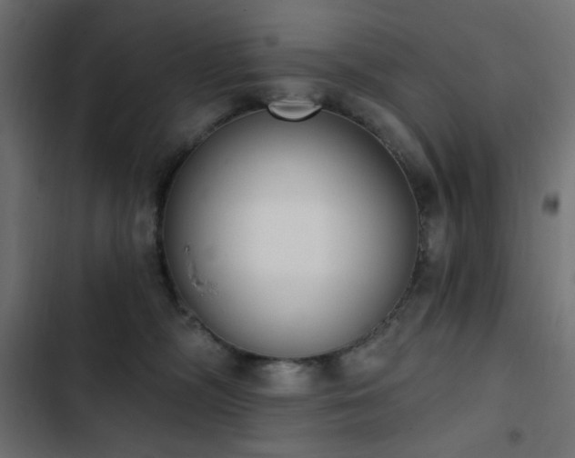 X0000103440326200809121409