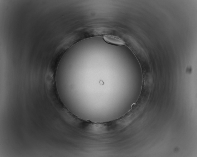 X0000103440327200809121409