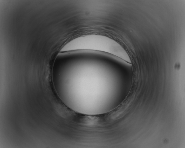 X0000103440328200809121409