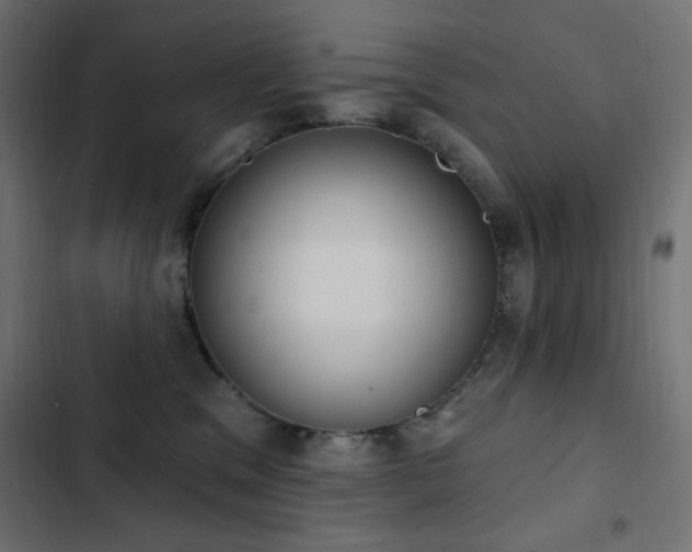 X0000103440329200809121409