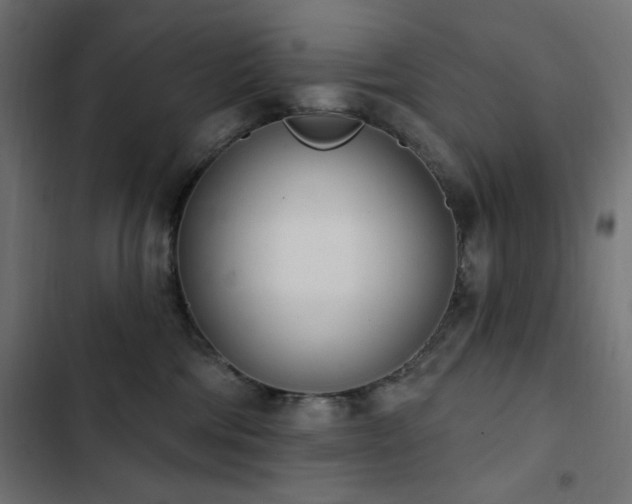 X0000103440330200809121409
