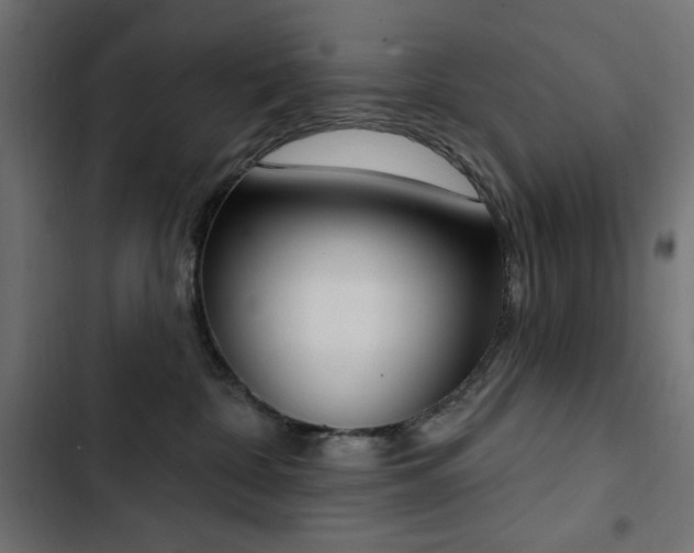 X0000103440332200809121409