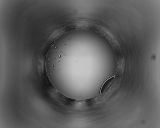 X0000103440333200809121409