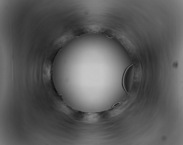 X0000103440334200809121409