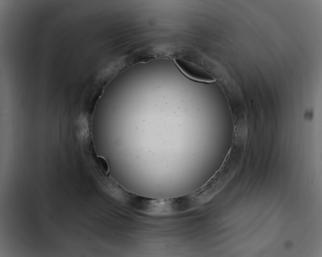X0000103440335200809121409