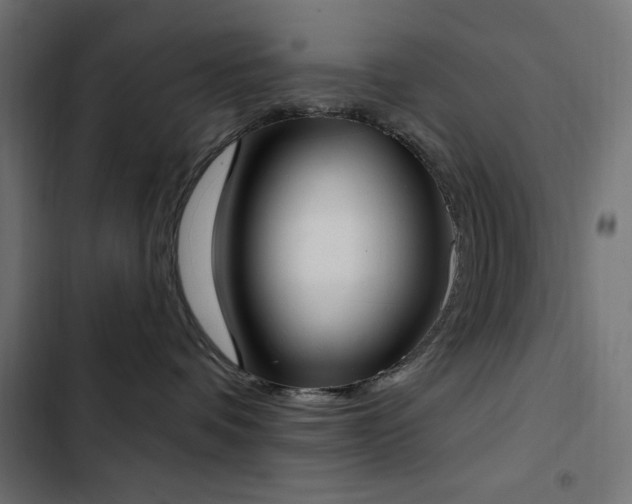 X0000103440336200809121409
