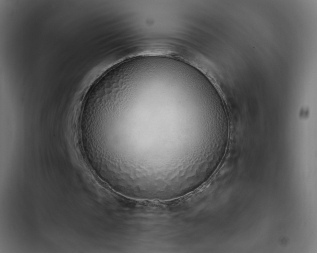 X0000103440337200809121408