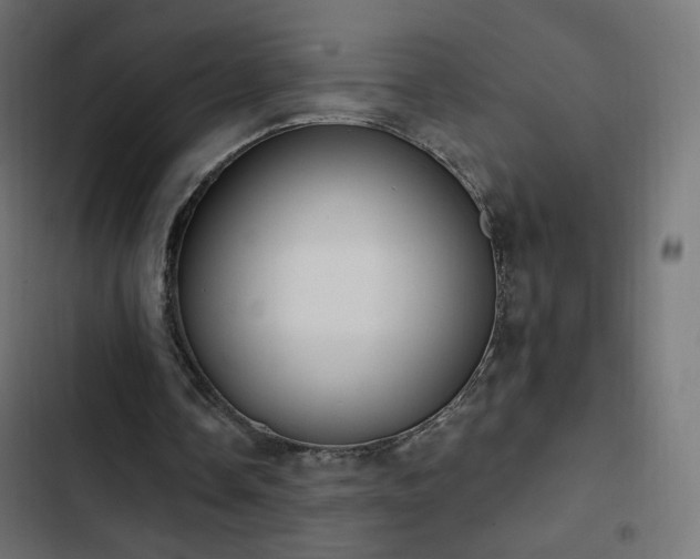 X0000103440338200809121408