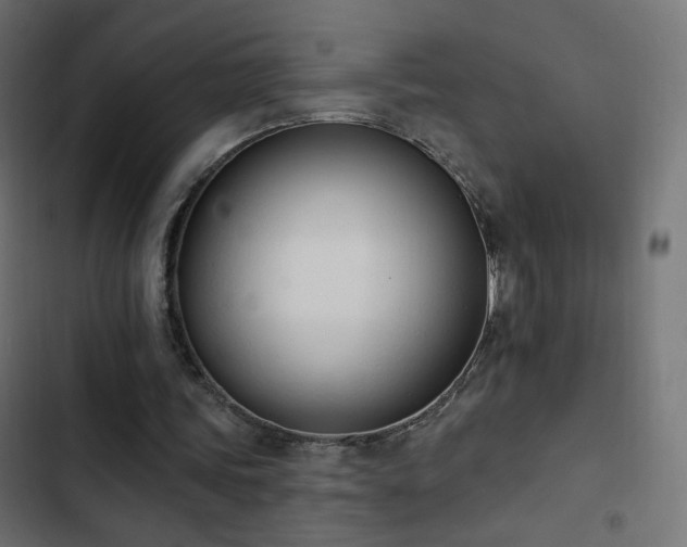 X0000103440339200809121408
