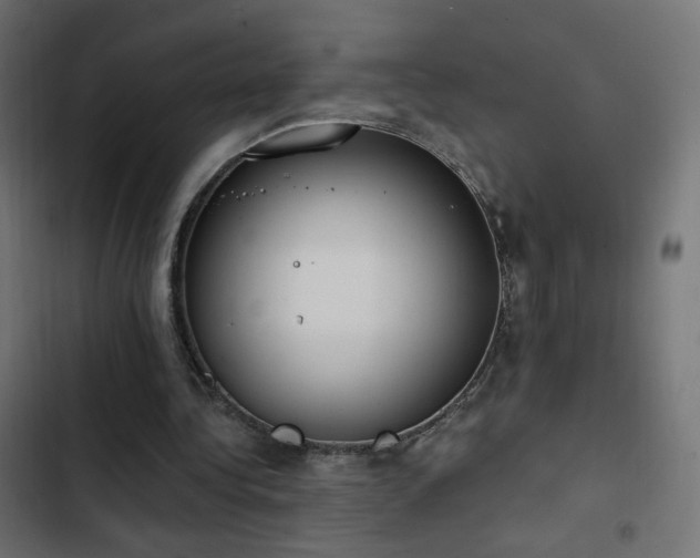 X0000103440340200809121408