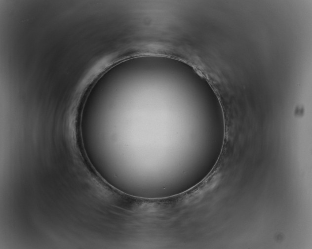 X0000103440341200809121408