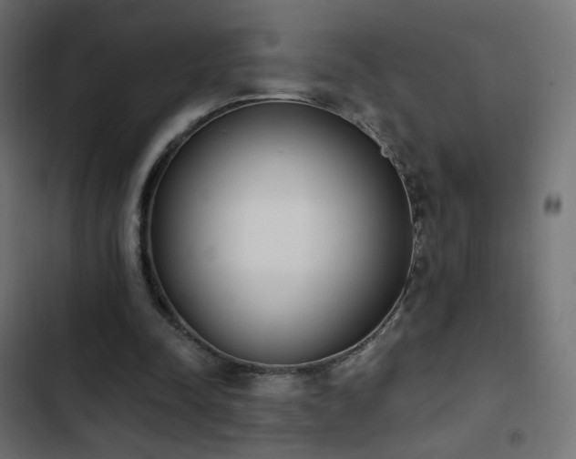 X0000103440342200809121408
