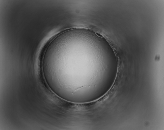 X0000103440343200809121408