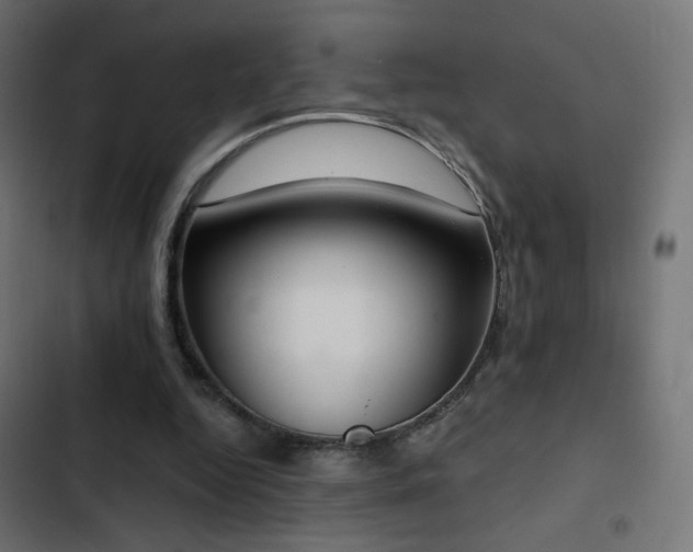 X0000103440344200809121408