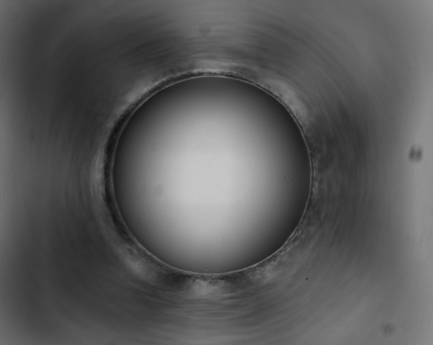 X0000103440346200809121408