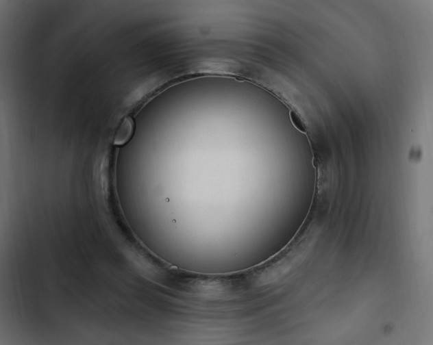 X0000103440349200809121408