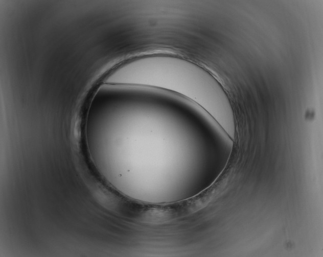 X0000103440350200809121408