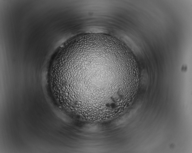 X0000103440351200809121408