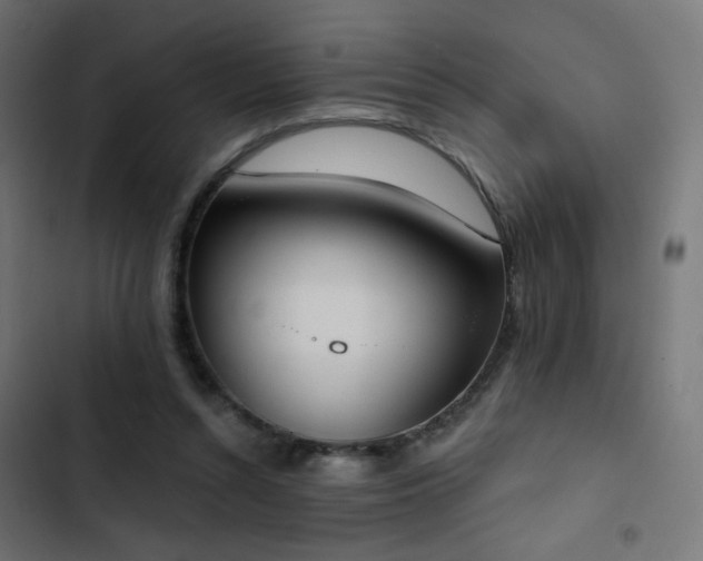 X0000103440352200809121409