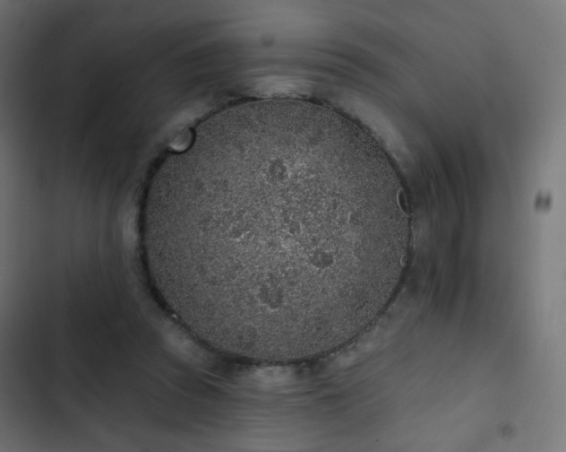 X0000103440353200809121409