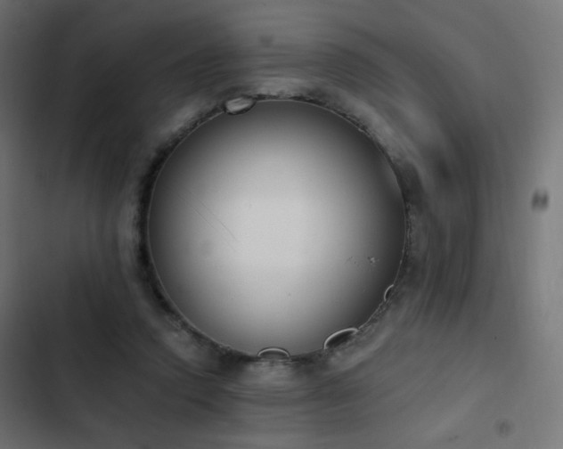 X0000103440354200809121409