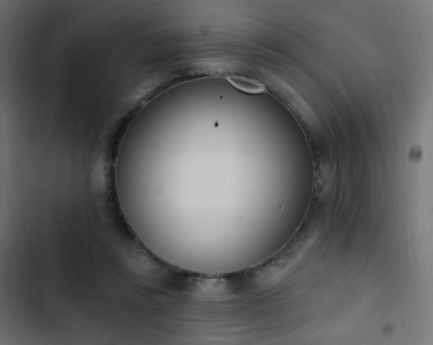 X0000103440355200809121409