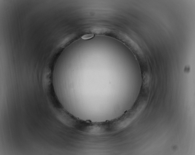 X0000103440356200809121409