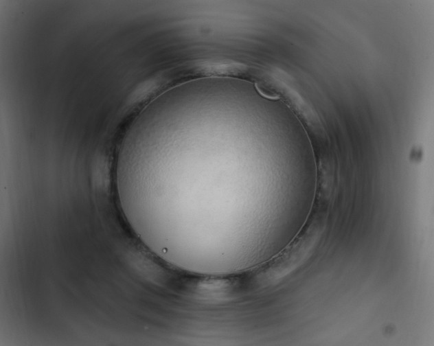 X0000103440357200809121409