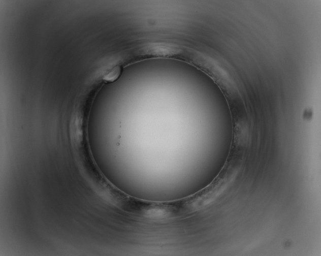 X0000103440358200809121409
