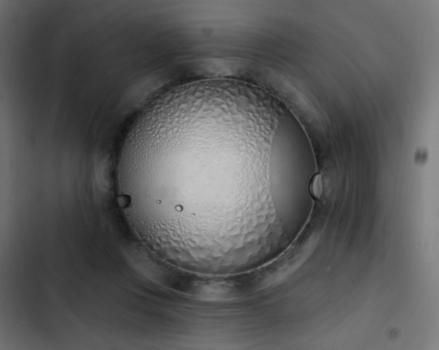 X0000103440359200809121409