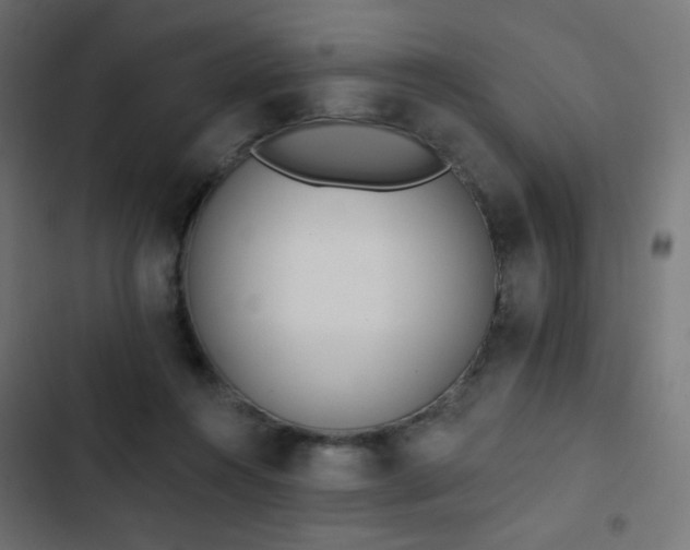 X0000103440360200809121409