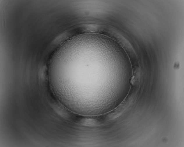 X0000103440361200809121409