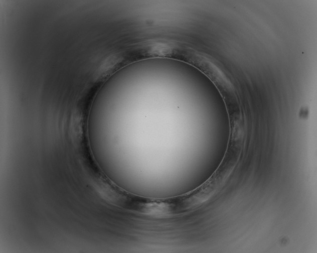 X0000103440363200809121409
