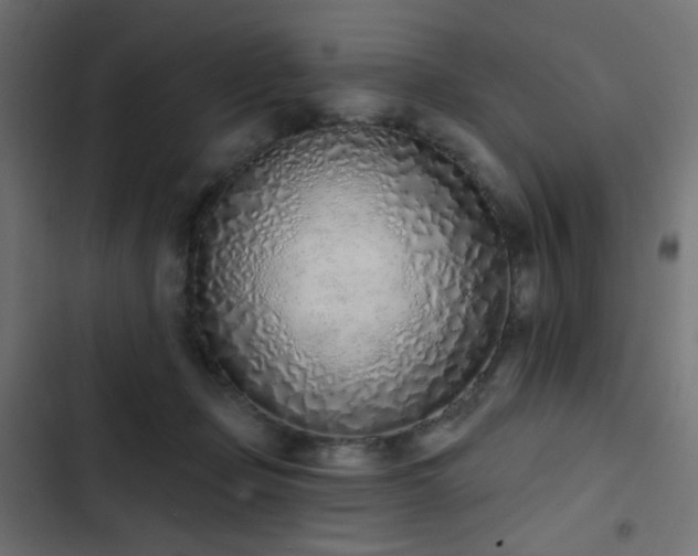 X0000103440365200809121409