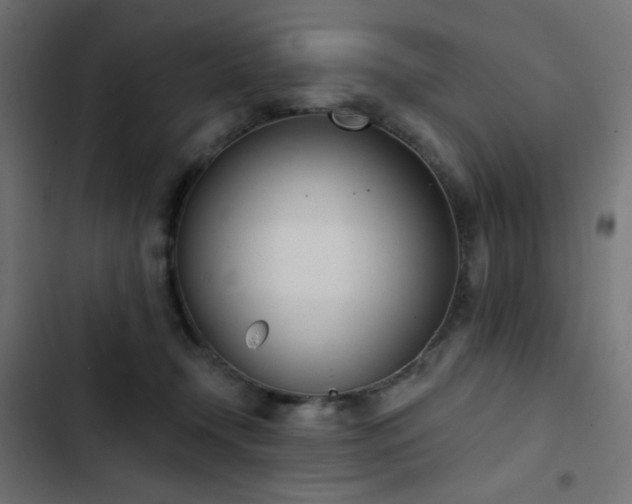 X0000103440366200809121409