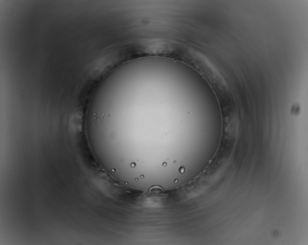 X0000103440368200809121409