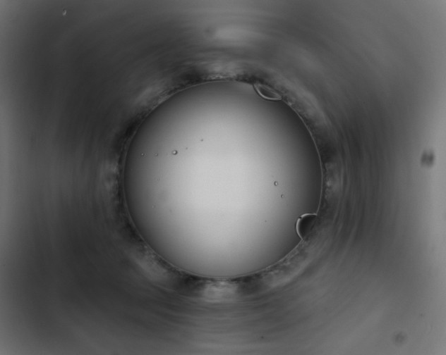 X0000103440369200809121409