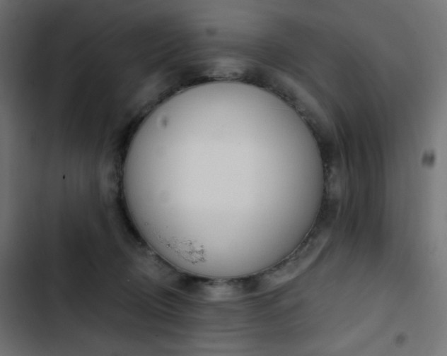 X0000103440370200809121409