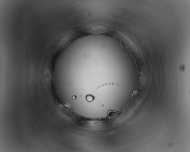 X0000103440371200809121409