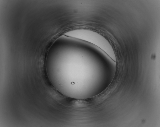 X0000103440372200809121409
