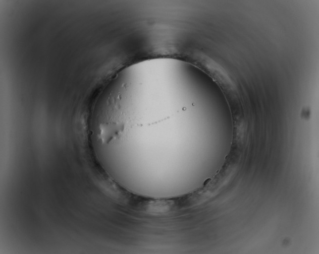 X0000103440373200809121409